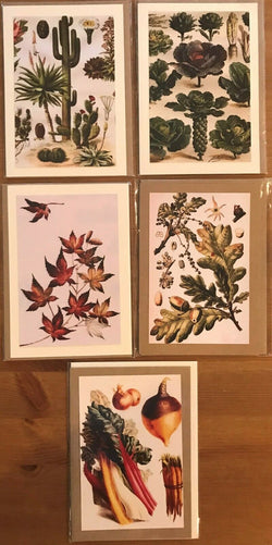 Charming vintage Dutch greeting cards, imported from Holland, Set of - CC