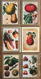 Charming vintage Dutch greeting cards, imported from Holland, Set of 12- CC112