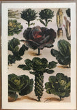 Charming vintage Dutch greeting cards, imported from Holland, Set of - CC