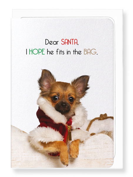 Cute dog British Christmas cards (Set of 8) - CC107